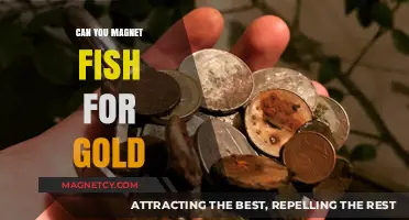 Unlocking Treasures: Magnet Fishing for Gold Nuggets