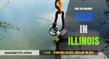 Exploring Magnet Fishing in Illinois: A Beginner's Guide