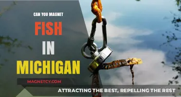 Exploring Michigan's Magnet Fishing Scene: A Beginner's Guide