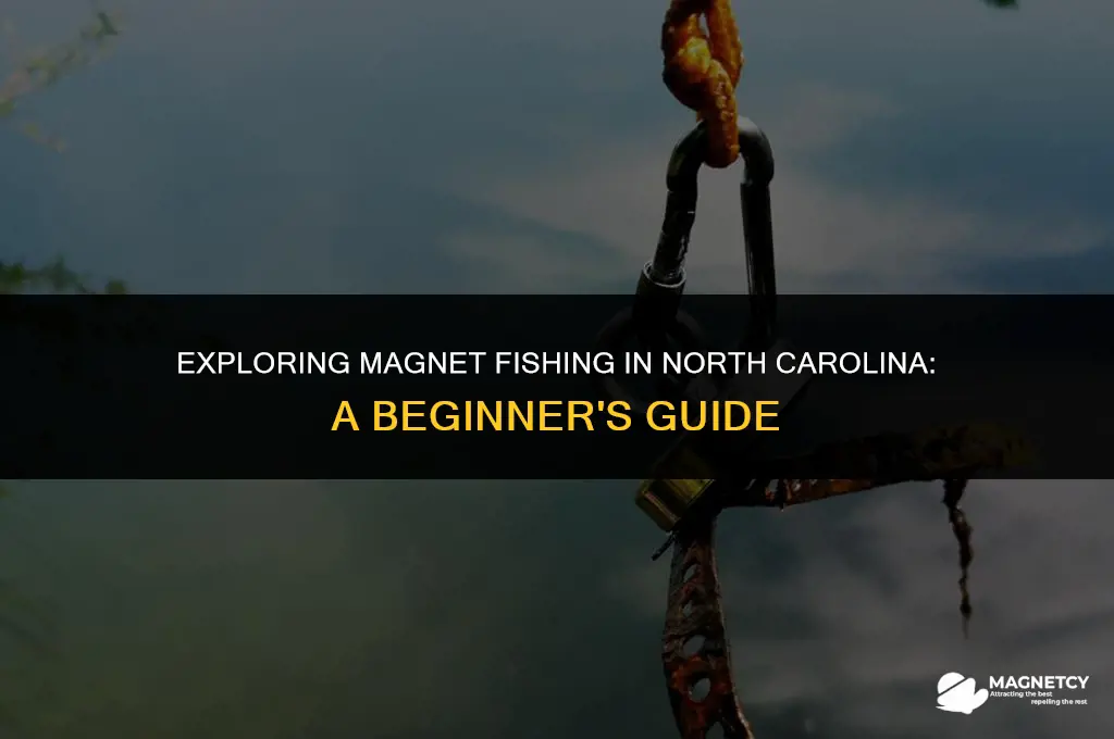 can you magnet fish in north carolina