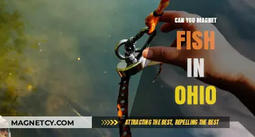 Exploring Ohio's Magnet Fishing Scene: A Beginner's Guide