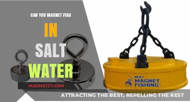 Exploring the Possibilities: Magnet Fishing in Saltwater Environments