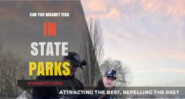 Magnet Fishing in State Parks: A Beginner's Guide to Treasure Hunting