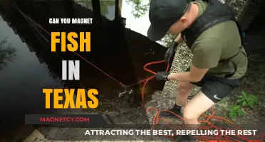 Exploring the Possibilities: Magnet Fishing Adventures in Texas