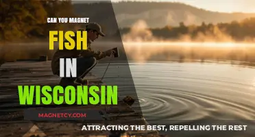 Exploring Wisconsin's Magnet Fishing Scene: A Beginner's Guide
