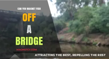 Bridge Magnet Fishing: Unlocking Urban Angling Secrets