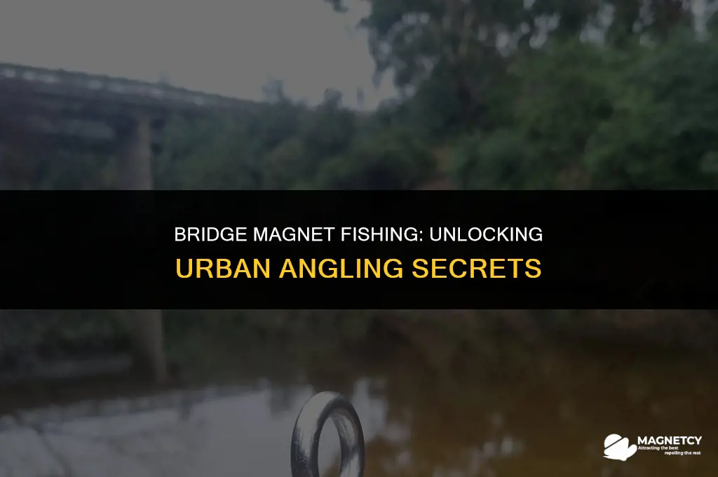 can you magnet fish off a bridge