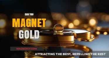 Unlocking the Secrets: Can You Really Magnetize Gold?