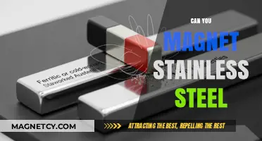 Unlocking the Secrets: Can You Really Magnetize Stainless Steel?