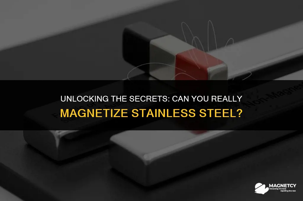 can you magnet stainless steel