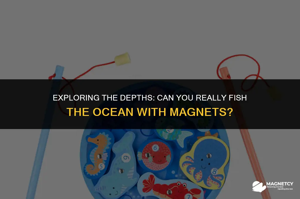 can you magnetic fish the ocean