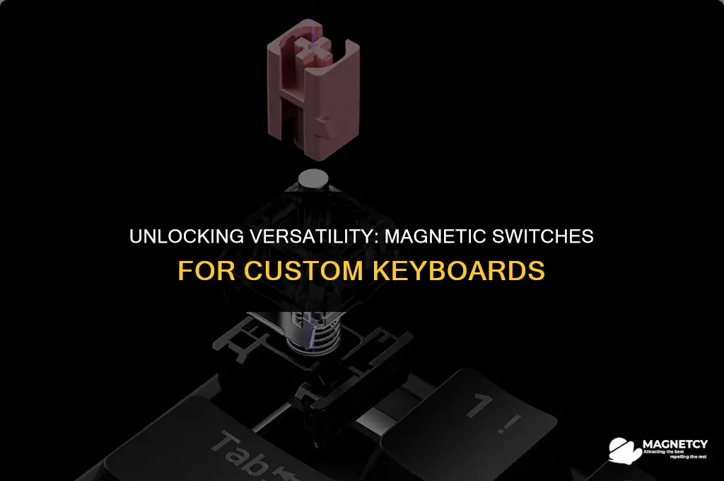 can you magnetic switches for any keyboard