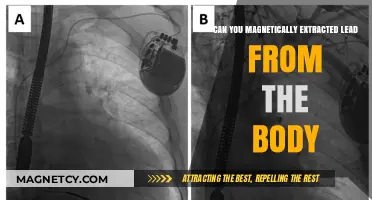 Exploring the Myth: Can Lead Be Magnetically Extracted from the Body?