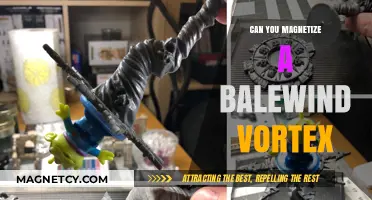 Unleashing the Power: Magnetizing a Balewind Vortex