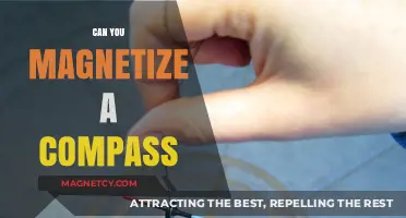 Exploring Magnetism: Can You Magnetize a Compass?