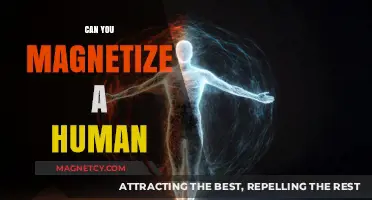Exploring the Science: Can Humans Be Magnetized?