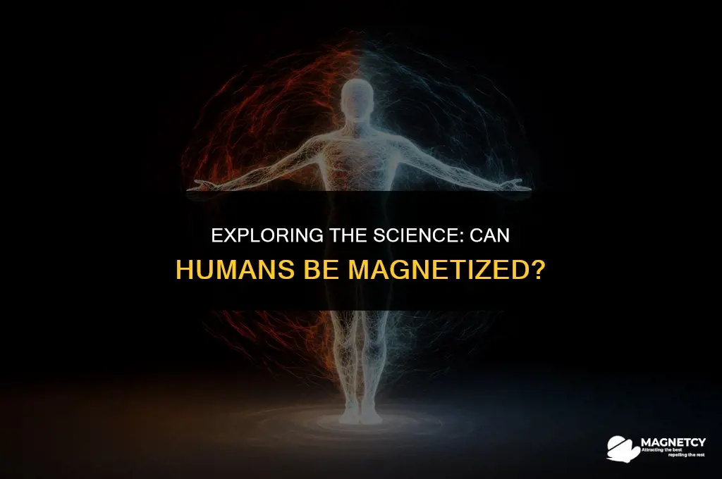 can you magnetize a human