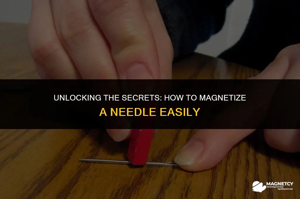 can you magnetize a needle