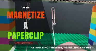 Exploring the Magnetic Potential of Everyday Paperclips