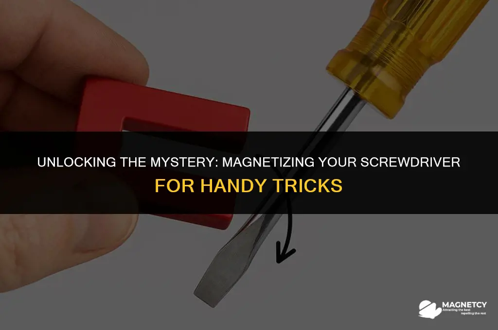 can you magnetize a screwdriver