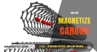 Unlocking the Magnetic Potential of Carbon: A Scientific Exploration