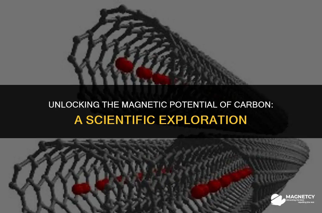 can you magnetize carbon