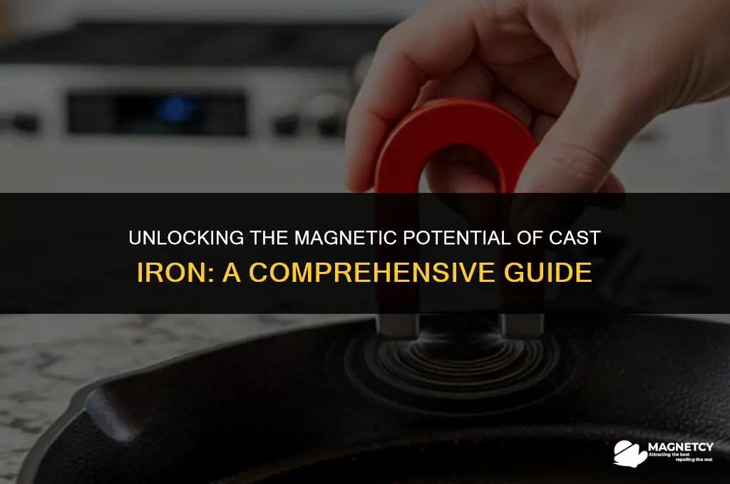 can you magnetize cast iron