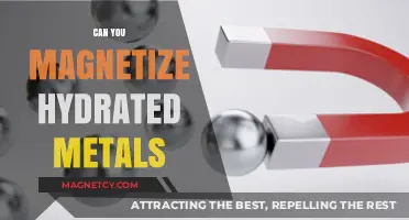 Exploring the Possibilities: Magnetizing Hydrated Metals Unveiled