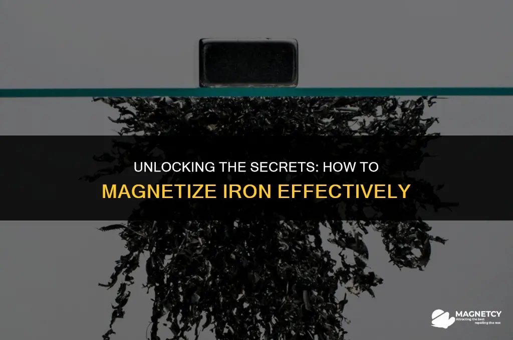 can you magnetize iron