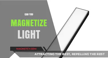 Exploring the Frontiers: Can Light Be Magnetized?