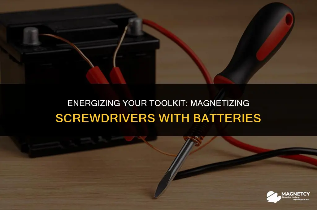 can you magnetize screwdriver with a battery