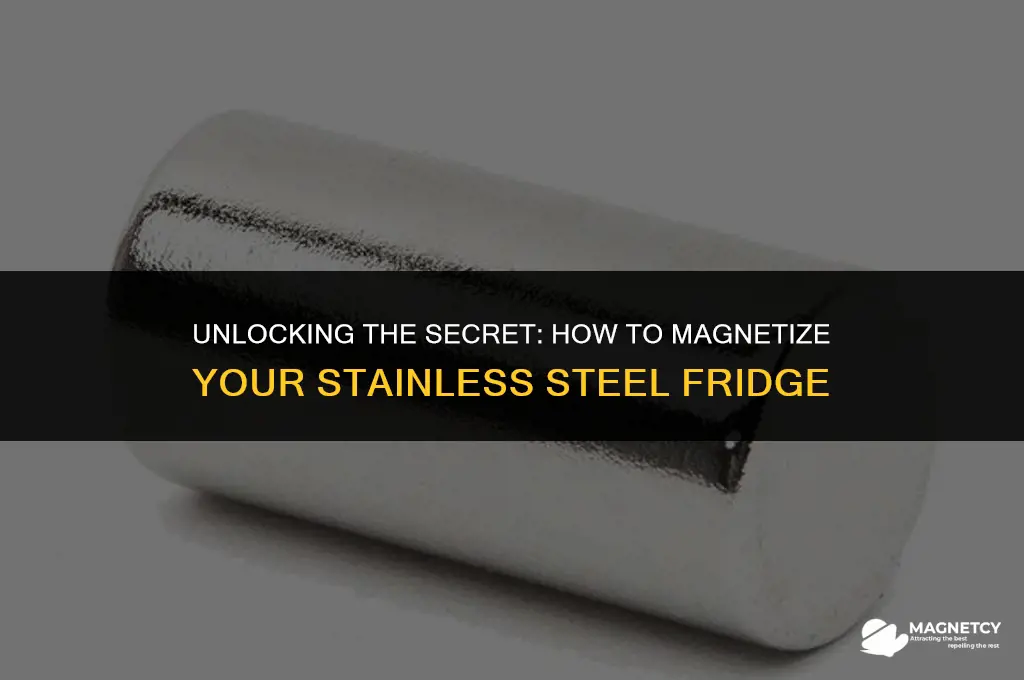 can you magnetize stainless steel fridge