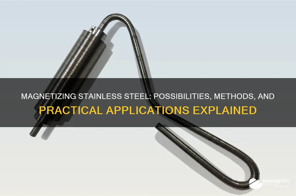 can you magnetize stainless steel
