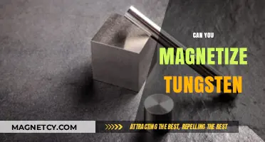 Unlocking the Magnetic Potential of Tungsten: A Scientific Exploration