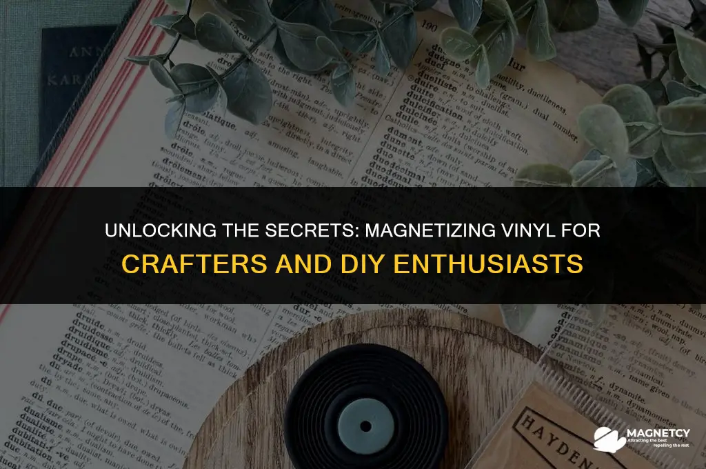 can you magnetize vinyl