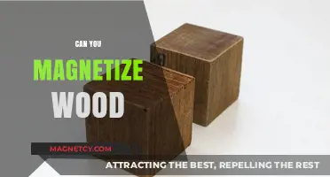 Exploring the Possibilities: Can Wood Be Magnetized?