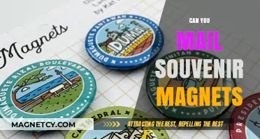 Sending Smiles Across Miles: The Art of Mailing Souvenir Magnets