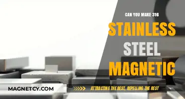 Unlocking the Magnetic Potential of 316 Stainless Steel: A Comprehensive Guide