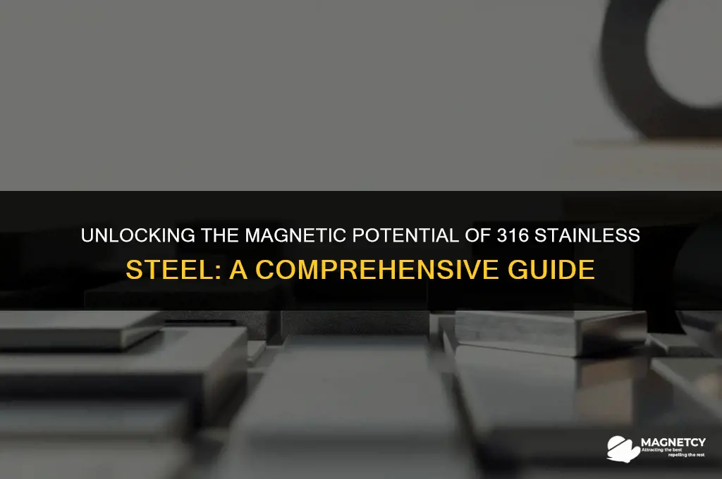can you make 316 stainless steel magnetic