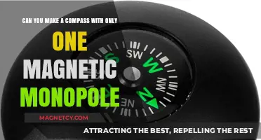 Exploring the Possibility of a Single-Pole Compass