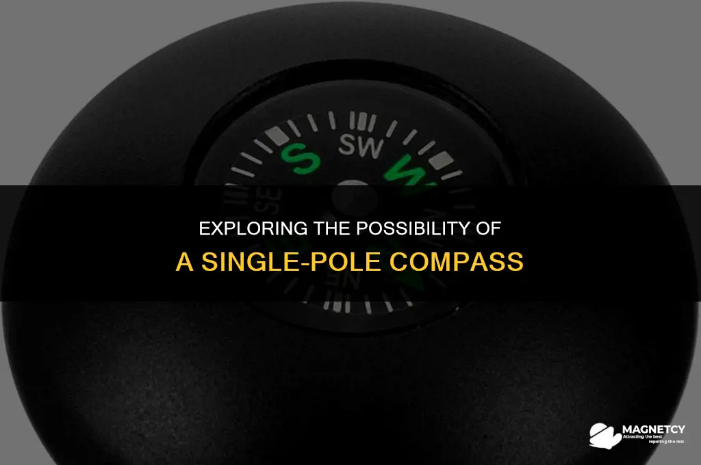 can you make a compass with only one magnetic monopole