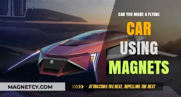 Magnetic Flying Cars: Feasible Dream or Scientific Fantasy?