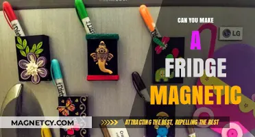 Exploring the Possibilities: Can You Make a Fridge Magnetic?