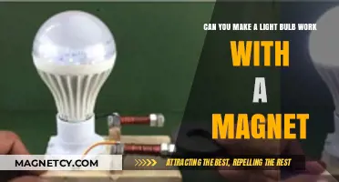 Exploring the Myth: Can Magnets Really Power a Light Bulb?