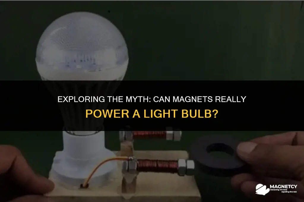 can you make a light bulb work with a magnet