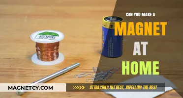 DIY Magnet Magic: Crafting Your Own Magnetic Wonders at Home