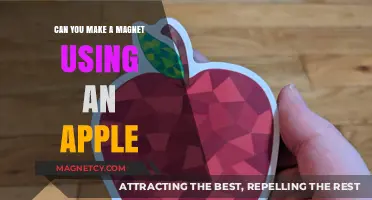 Can Apples Create Magnets? Unveiling the Science Behind Magnetic Fruits