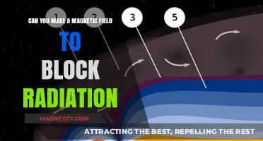 Shielding from Radiation: The Potential of Magnetic Fields