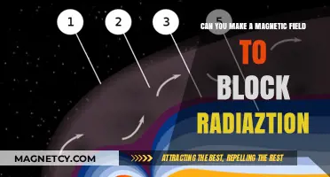 Shielding from Radiation: The Potential of Magnetic Fields