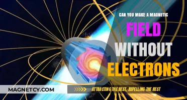 Exploring Magnetic Fields: Beyond the Electron Paradigm